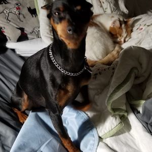 Meet your Posher, Kim